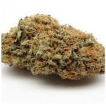 Шишки AK47 (Гидропоника, Бошка) VHQ в Ярославле Шишки AK47 (Гидропоника, Бошка) VHQ в Ярославле